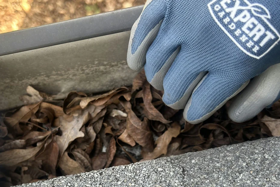 Gutter Cleaning Oak Cliff