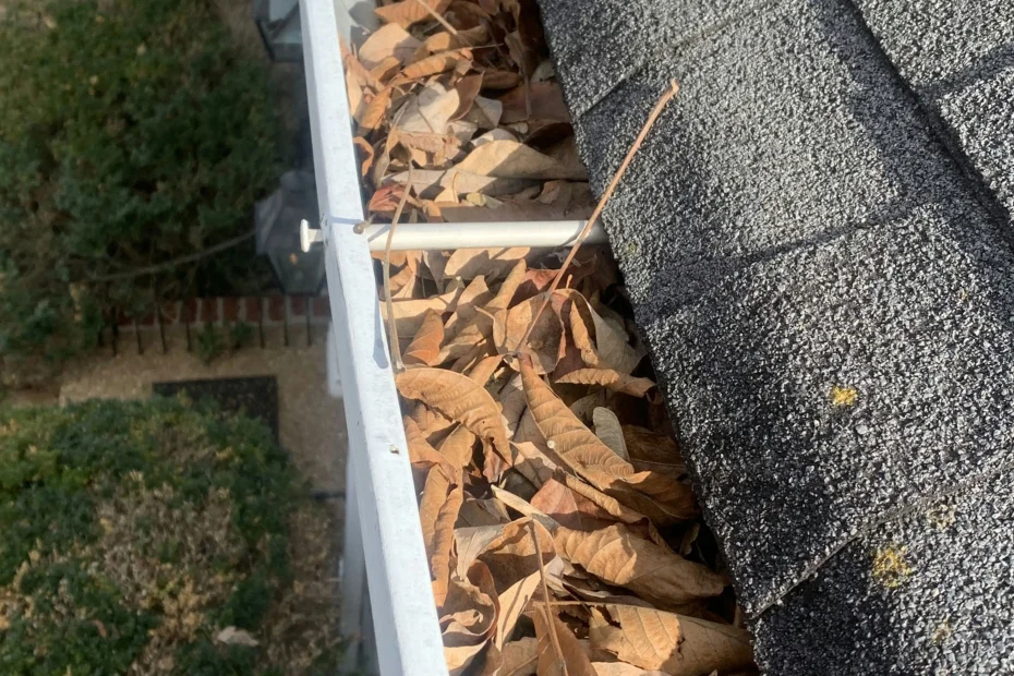 Gutter Cleaning Oak Cliff